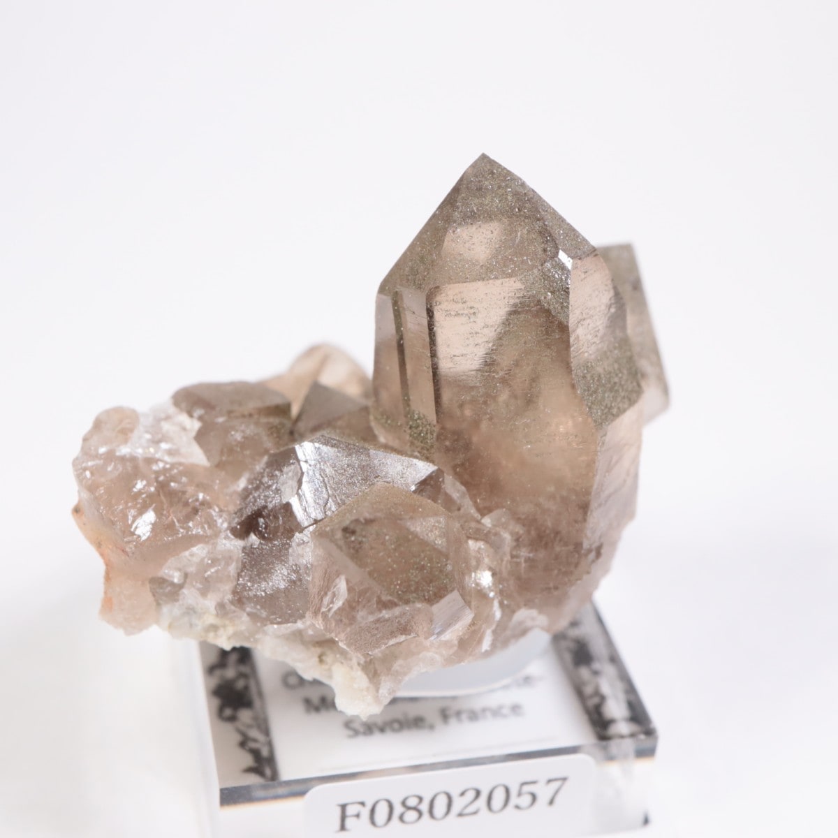 フランス産 スモーキークォーツ | 鉱物標本,サ行,スモーキークォーツ