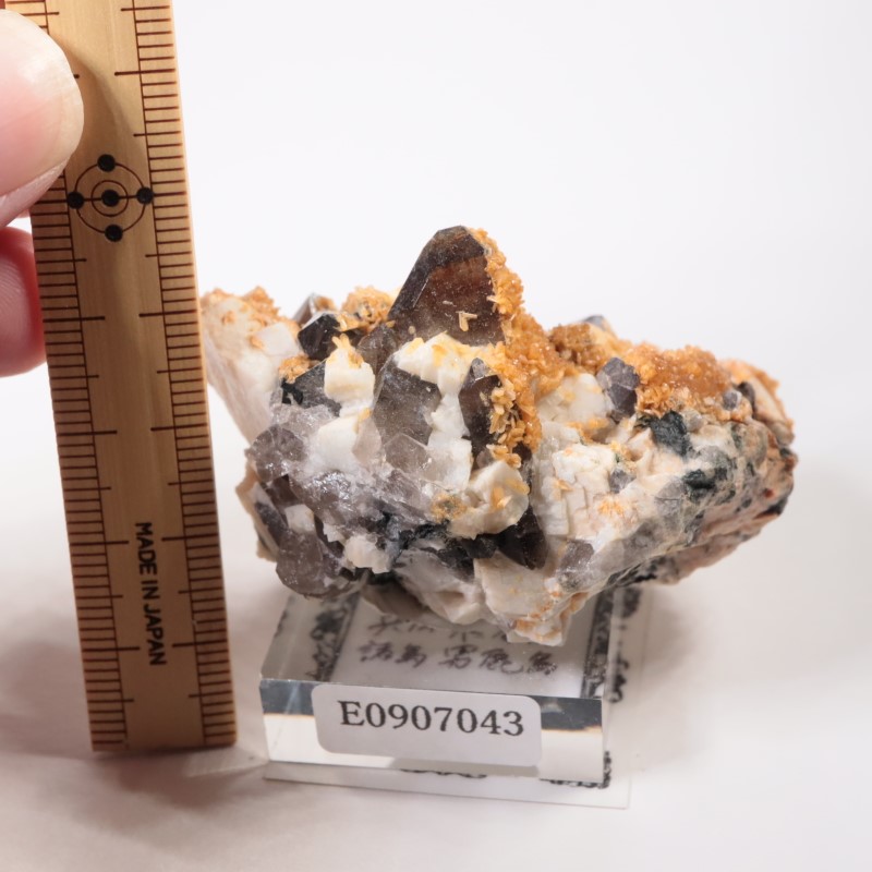 3_000000008070.jpg?1725704250