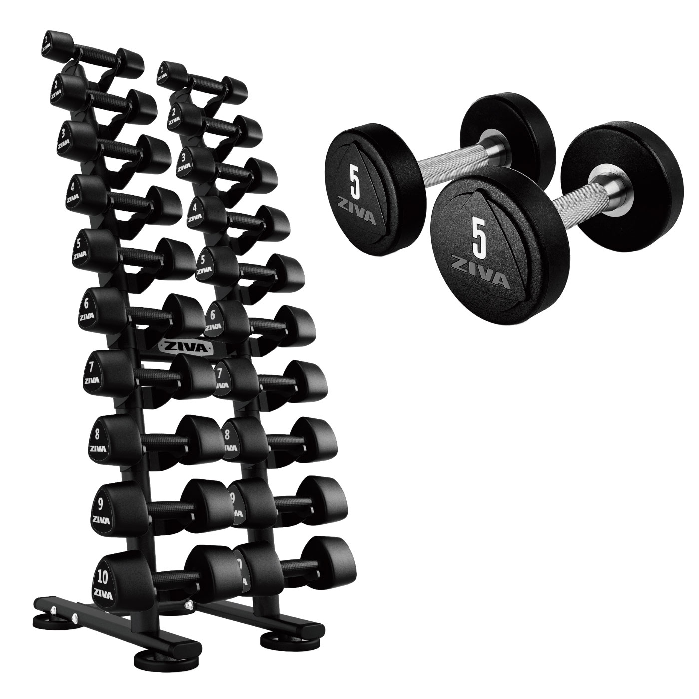 ZVO ウレタンダンベル1-10kg＋ST 1-10kgスタジオダンベルラック