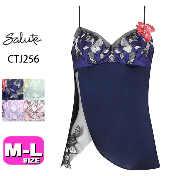 ワコール wacoal サルート salute【メール便発送可】PTJ756 56シリーズ