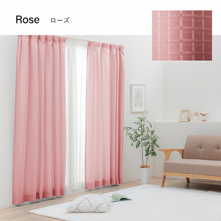 ドレープカーテン レースカーテン 非遮光 「4Pラスター」 幅100cm 4枚