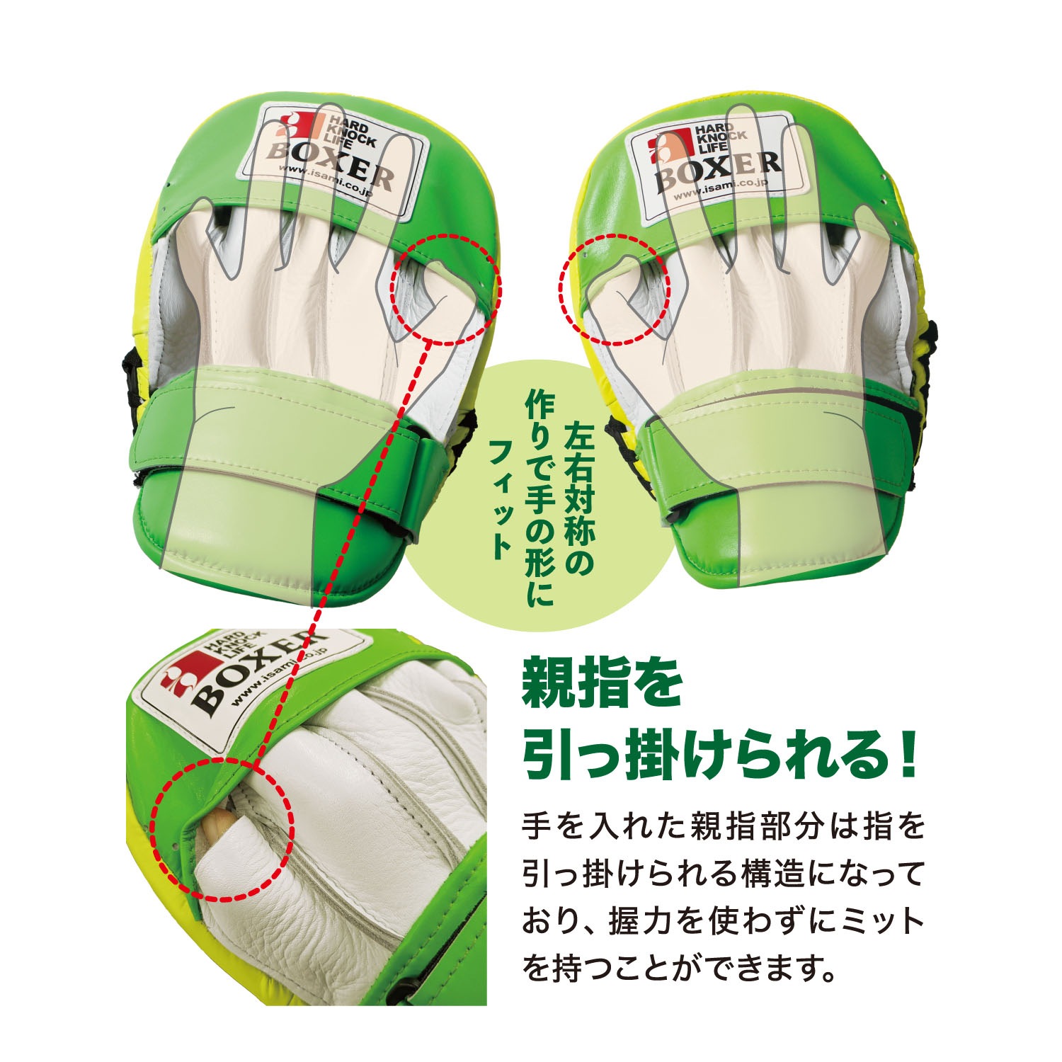 パンチングミット スペシャル | すべての商品 | ISAMI(イサミ) |格闘技