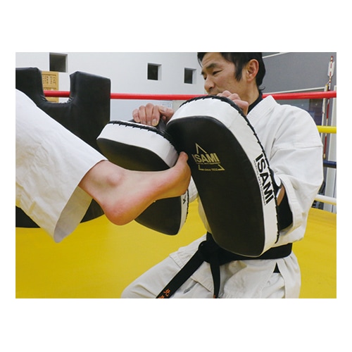 キックミットTS | すべての商品 | ISAMI(イサミ) |格闘技 武道具用品