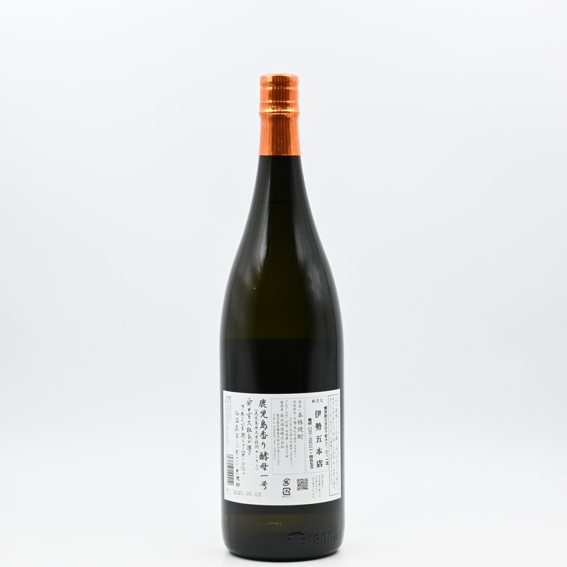 4_000000000011.jpg?1749695045