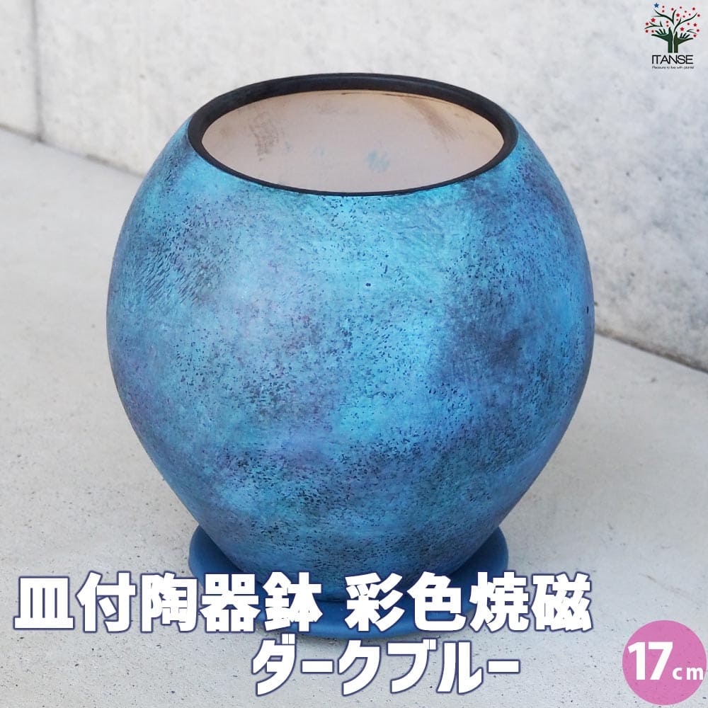 皿付陶器鉢 彩色焼磁 ダークブルー【資材 17cm】｜ 【植物の