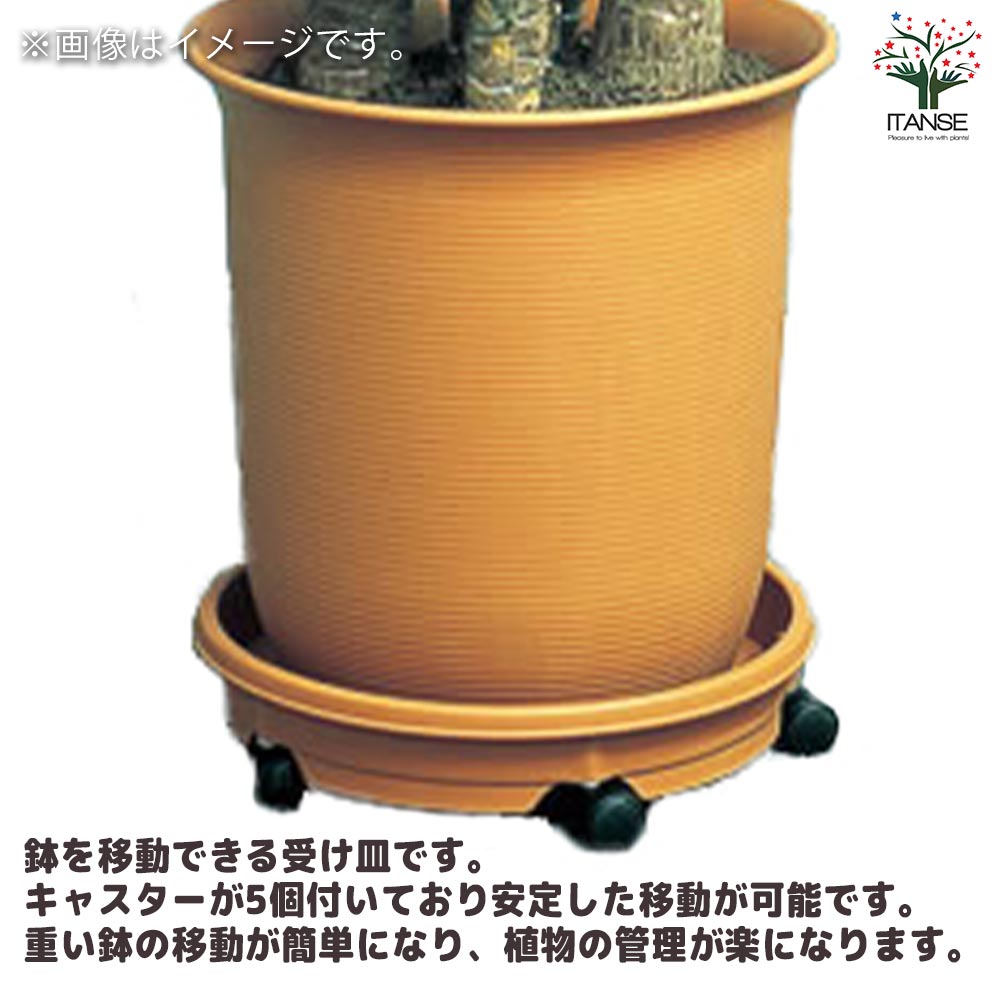 キャスタープレート 色：ブラウン【資材 28型】｜ 【植物の