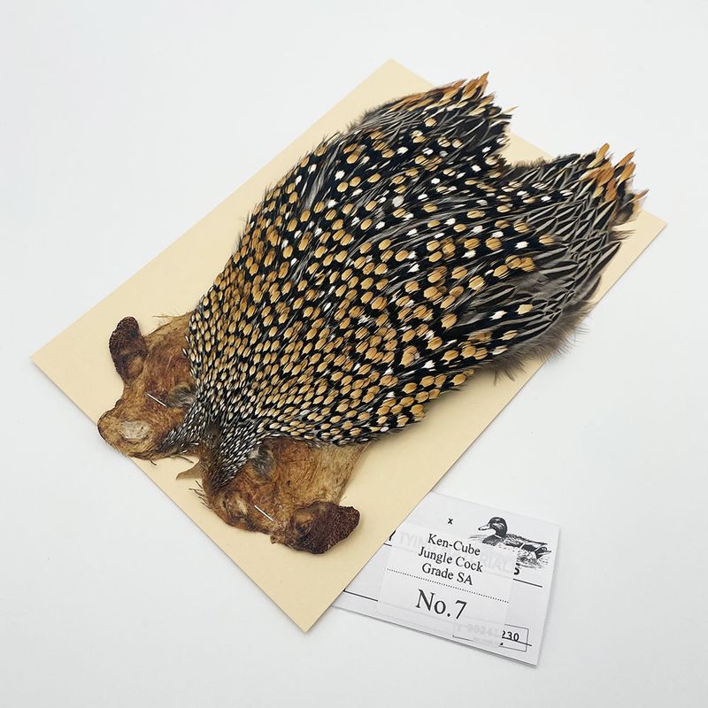 ジャングルコック