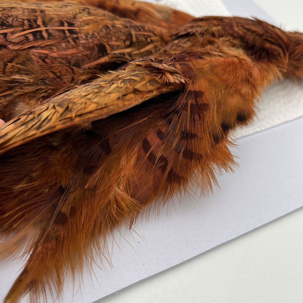 CANAL社 パートリッジ （ブラウン）No.1