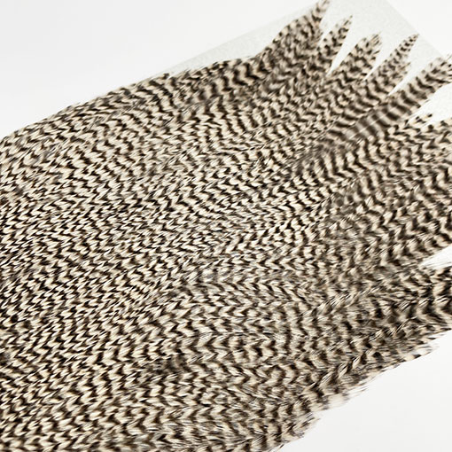 KEOUGH ハックルケープ ＃2 グリズリー（No.2)