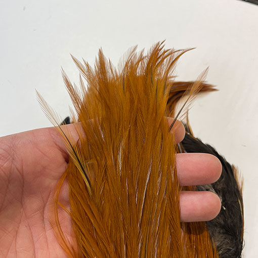 10%OFF メッツ コックネック＃2 ブラウン No.1