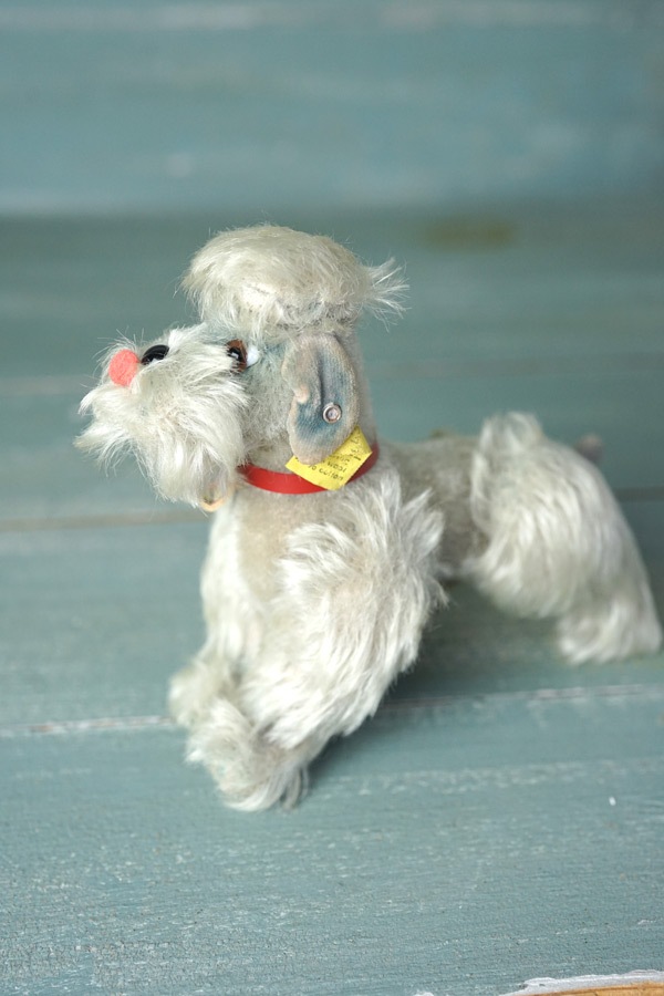 アンティーク シュタイフ プードル Steiff Snobby 14cm gt-1038の通販
