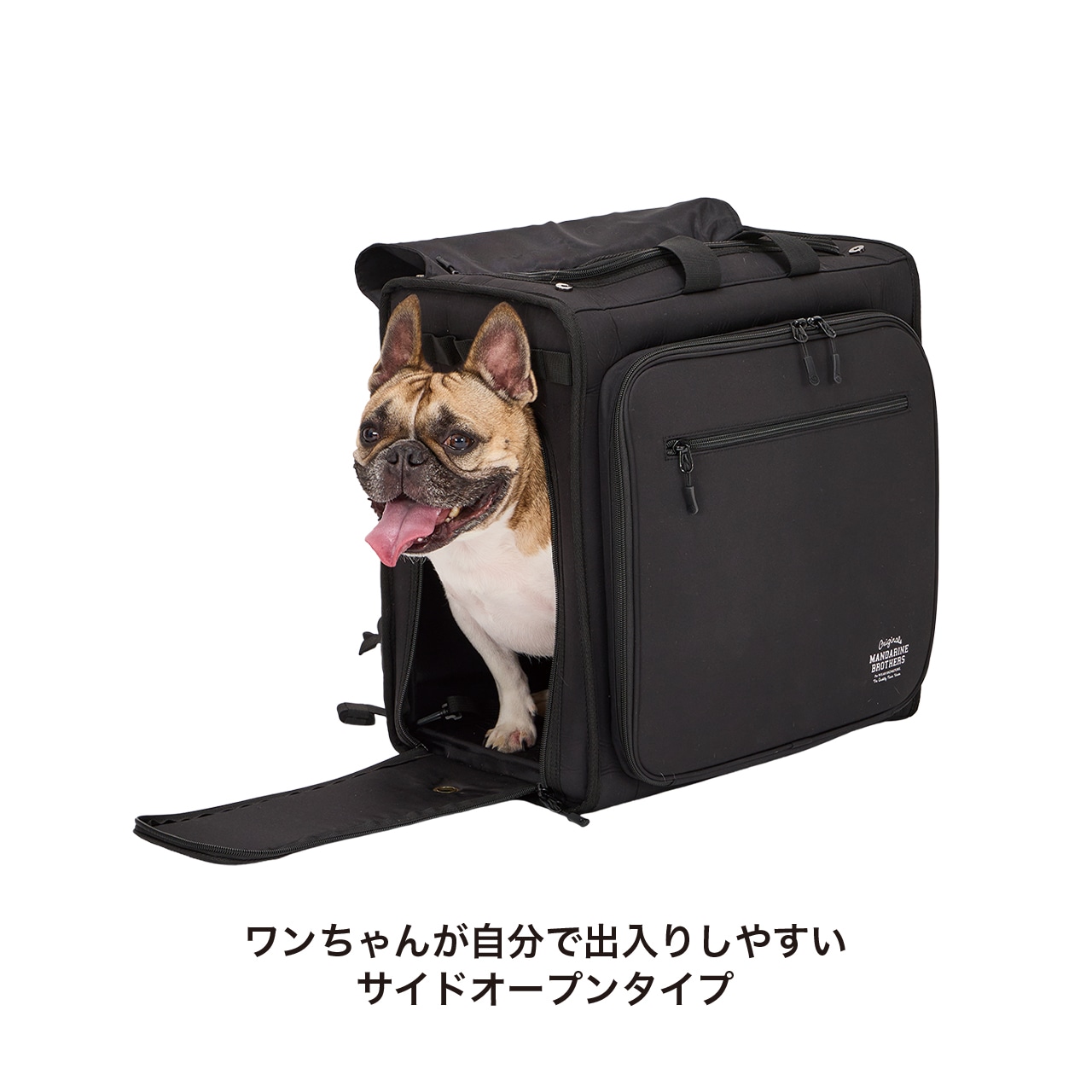 DAILY EXPANDABLE BACKPACK | CARRY BAG | 犬服 MANDARINE BROTHERS