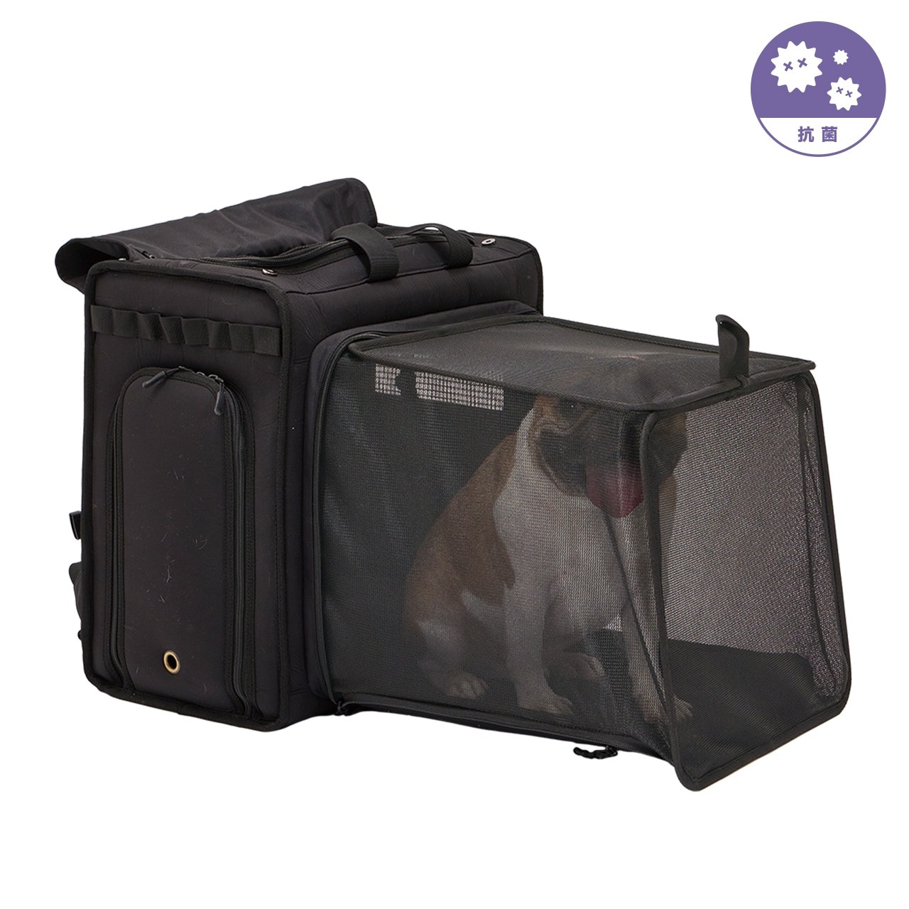 DAILY EXPANDABLE BACKPACK | CARRY BAG | 犬服 MANDARINE BROTHERS