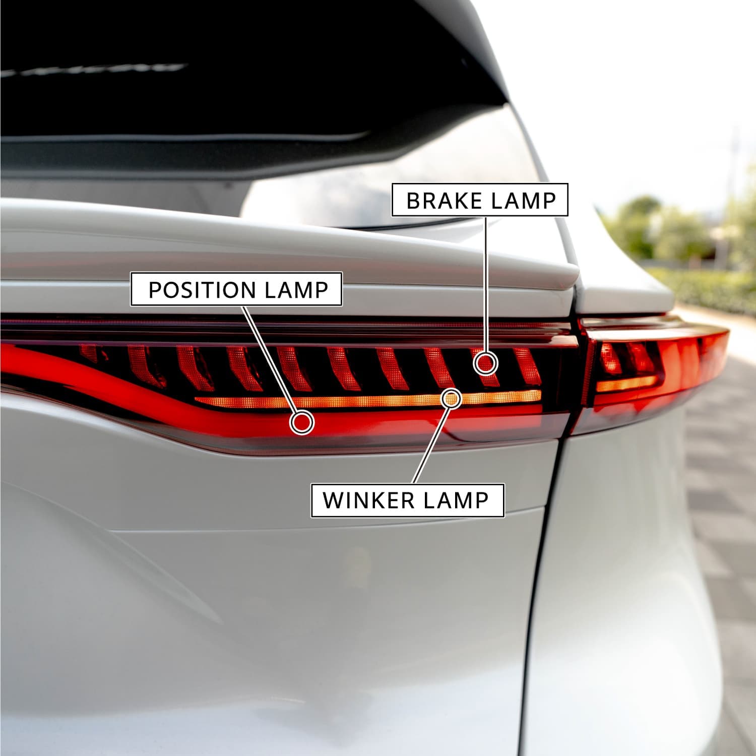 補修用・片側のみ】【公式ショップ限定カラー】Valenti ヴァレンティ