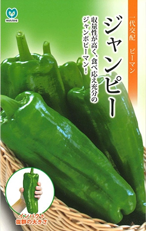 ピーマン ジャンピー | 果菜類,ピーマン・トウガラシ,ピーマン | 丸種