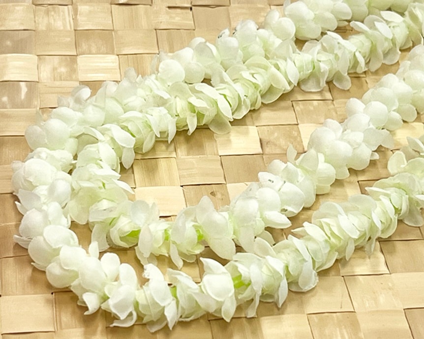 ピカケロングレイ（グリーン） | すべての商品 | | フラ・ハワイアン