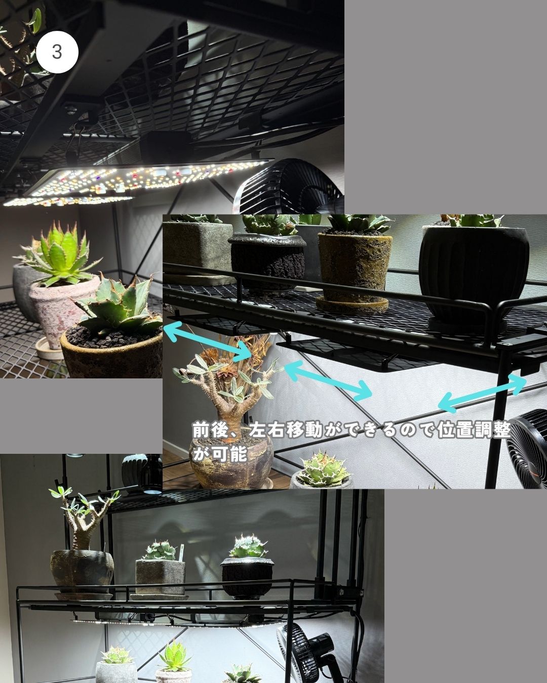植物棚 扉＆格子 水受けトレータイプ | 植物棚 | m2works