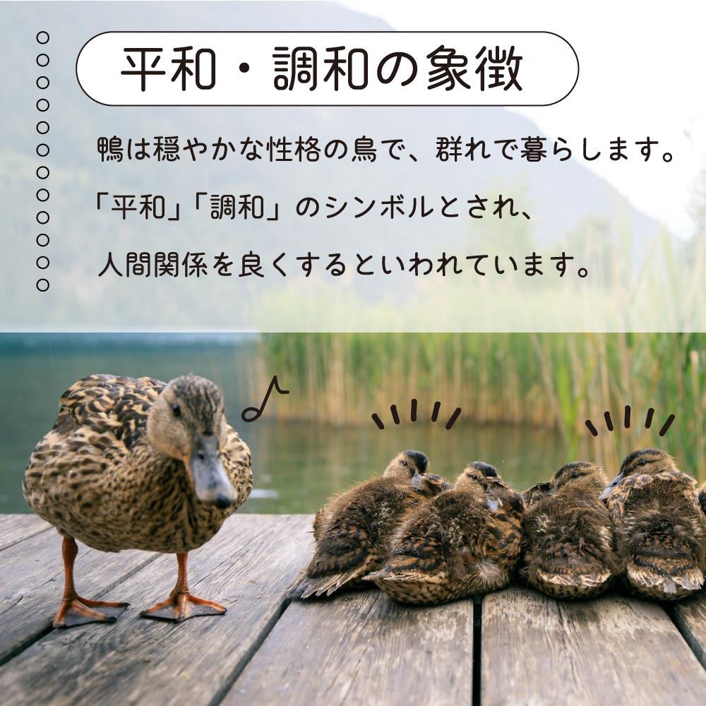 二口万能胴長水栓（カモハンドル・メッキ）｜2股・2口仕様｜おしゃれな