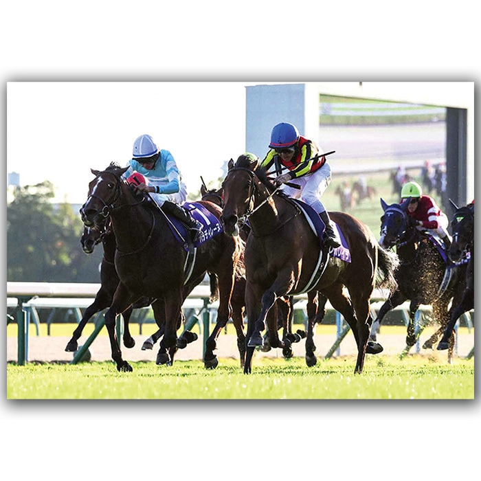 送料無料】2025年 エリザベス女王杯 木製額入り写真【四切ワイド（B4