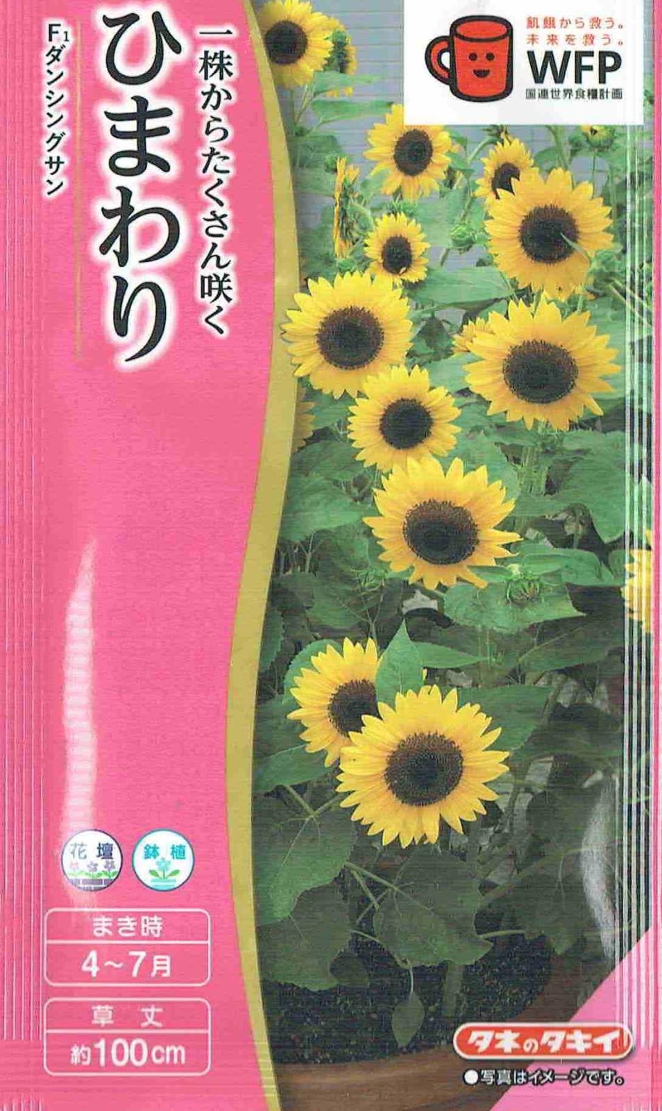 タキイ種苗 ひまわり ダンシングサンのタネ[内容量：2ml] | 【メーカー