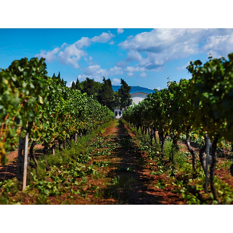 ヴィッラ・マティルデ フィアーノ・ディ・アヴェッリーノ 2023