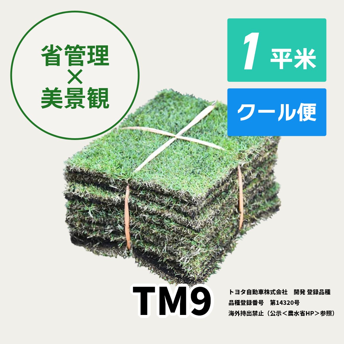 TM9（1平米）【クール便/送料込】 | 芝生,TM9 | HAYASHIオンラインストア