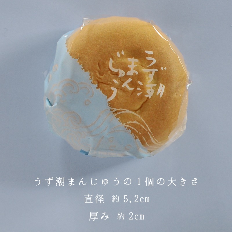 うず潮まんじゅう 12個入箱 | うず潮まんじゅう | 母恵夢本舗