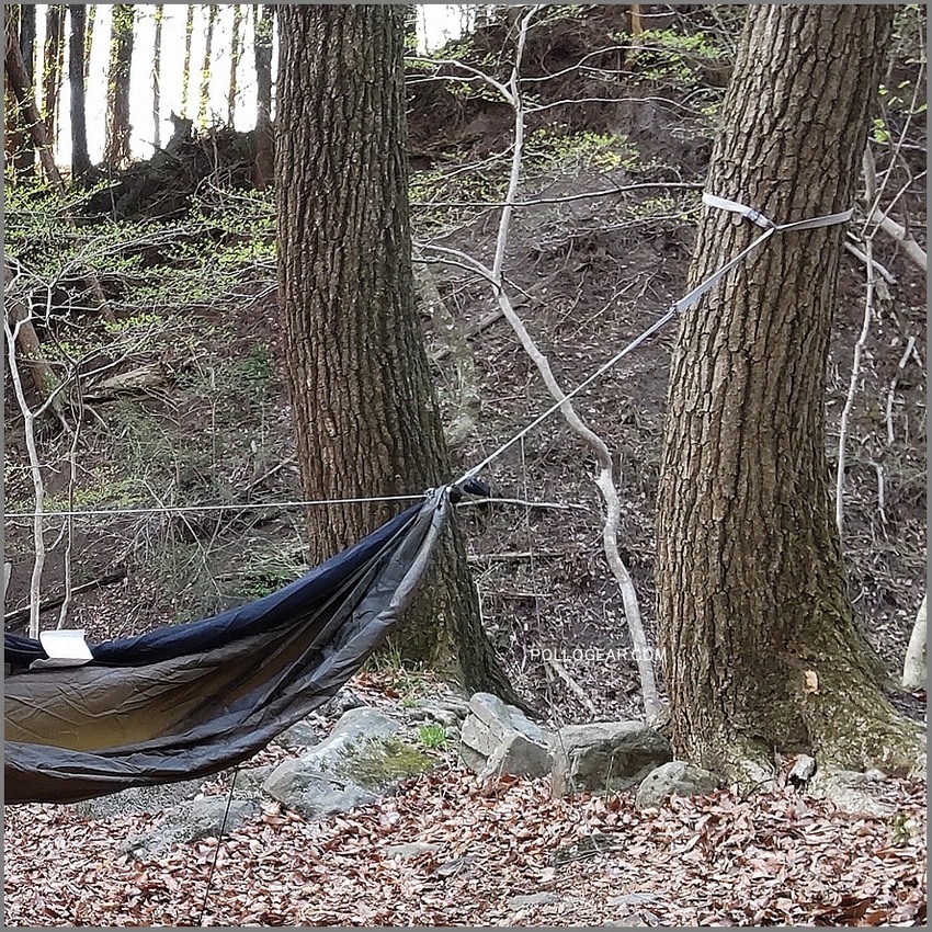 送料無料】 TREE STRAPS for Hammocker [UHMWPE×PP] / ハンモック用