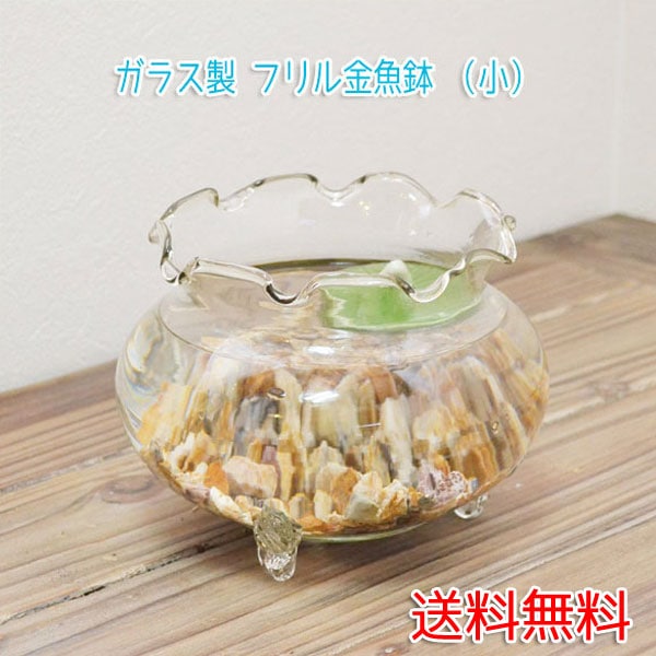 フリル金魚鉢 小 ガラス製 涼しげな きんぎょ鉢 メダカ鉢 涼しげに