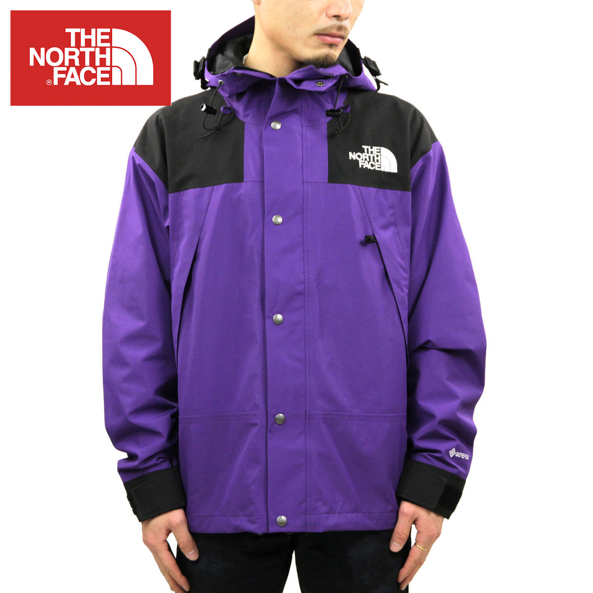 ノースフェイス ジャケット ゴアテックス メンズ 正規品 THE NORTH