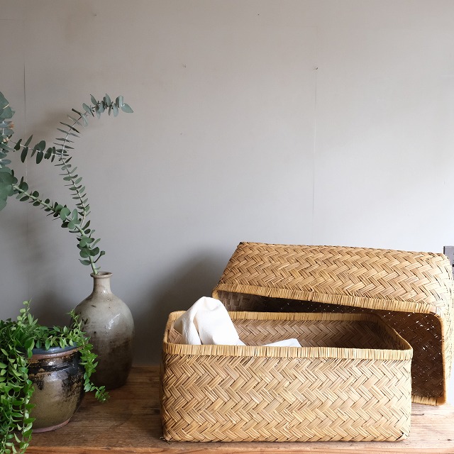 14_000000002117.jpg?1678209906