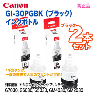 ブラック 2本セット】 Canon／キヤノン GI-30PGBK （ブラック） インク