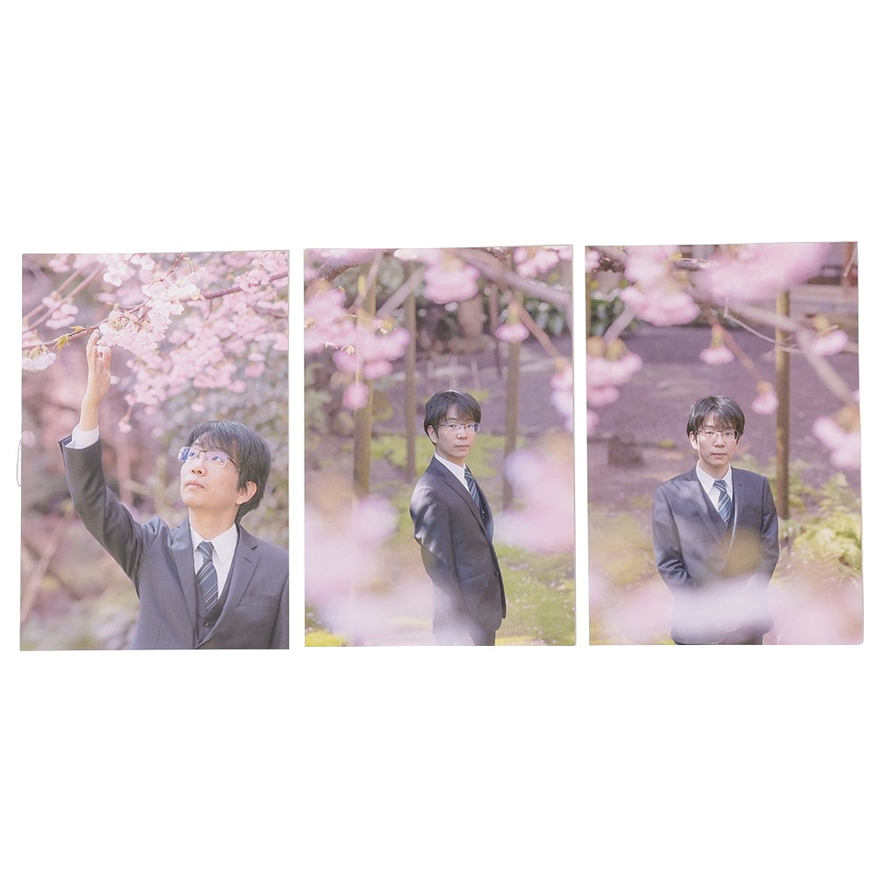 ポストカード三枚セット | 公益社団法人 日本将棋連盟オンラインストア