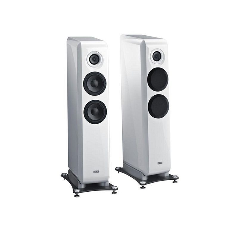 FURUTECH FP-701M(G) | FURUTECH | シマムセン