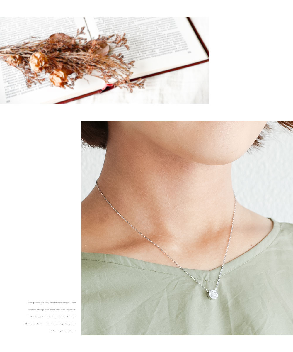 Nei/nor ネックレス 首飾り お肌に優しい サージカルステンレス 変色