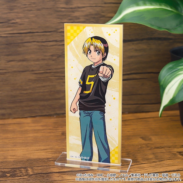 ヒカルの碁 スタジオぴえろ45周年記念 台紙付きビッグブロマイド