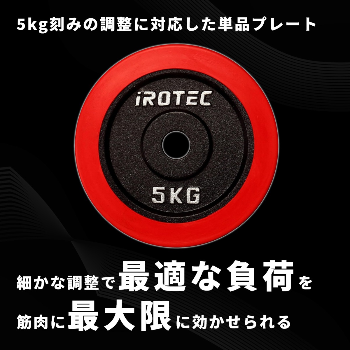 IROTEC アイロテック ラバー ダンベルプレート 5kg 4枚 合計20kg