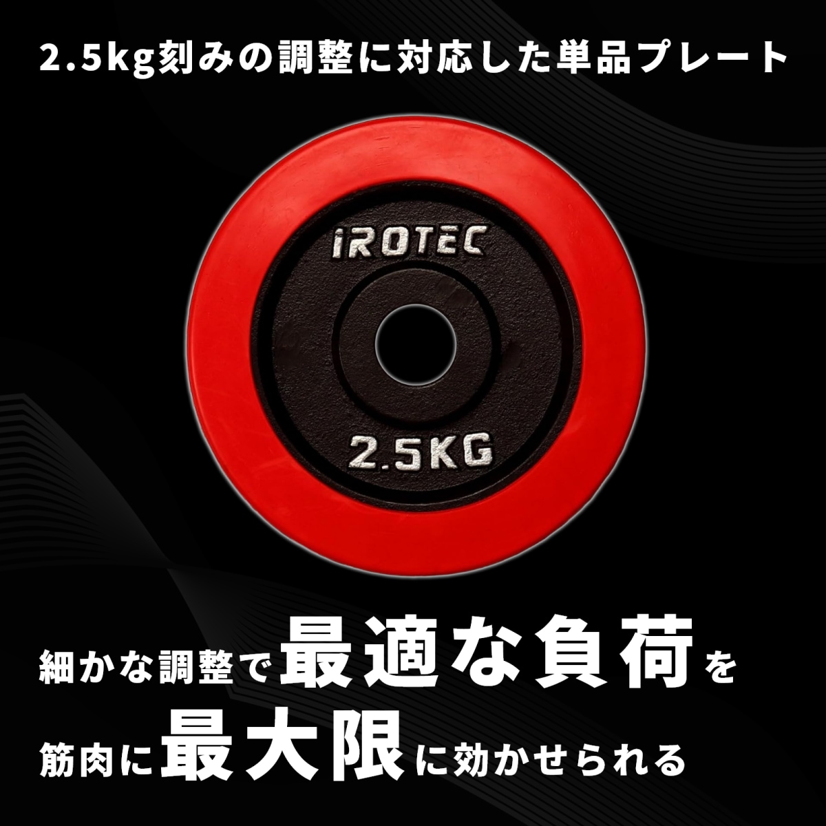 ラバープレート2.5kg(1枚)【穴径29mm】 IROTEC (アイロテック)