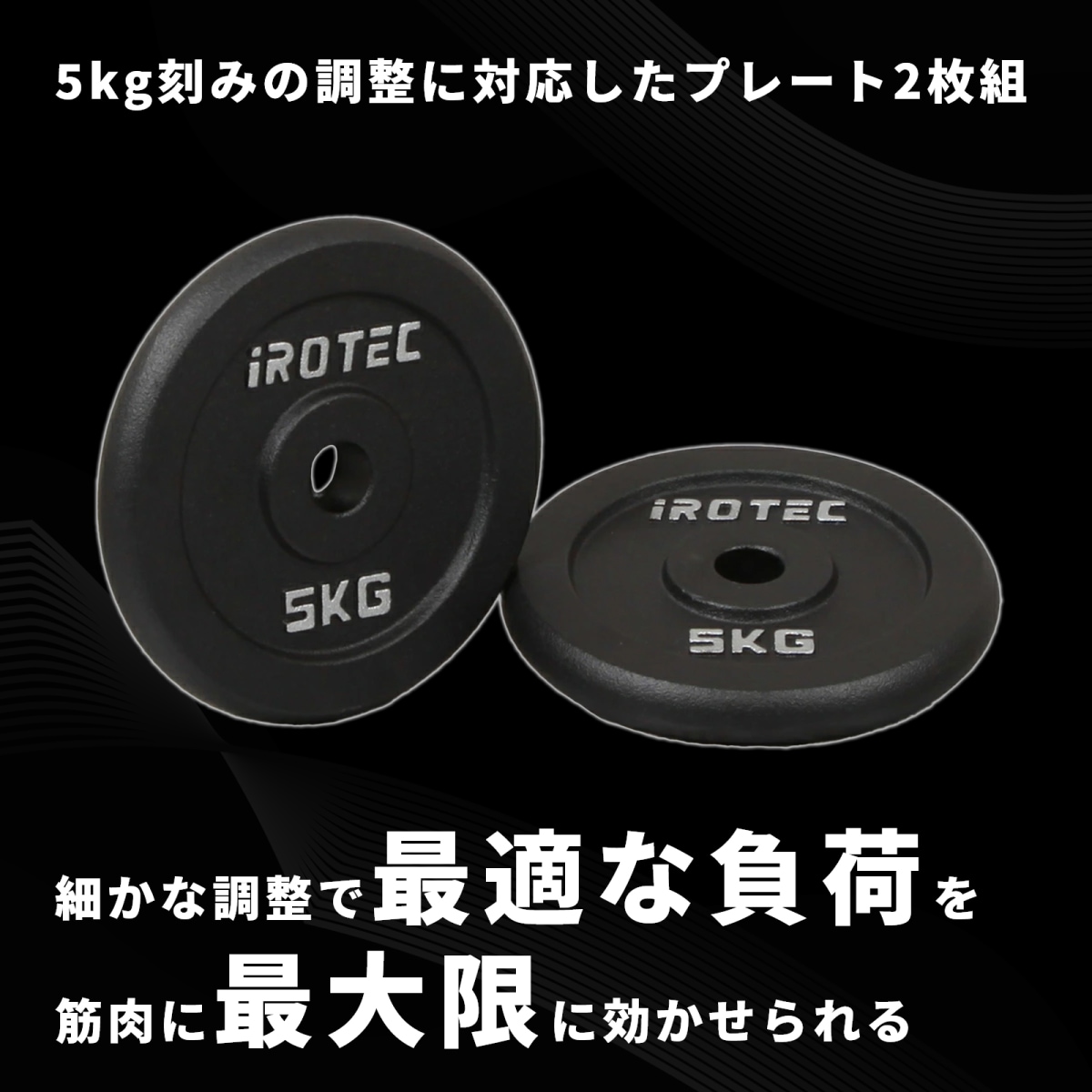 アイアンプレート5kg(2枚) IROTEC (アイロテック)