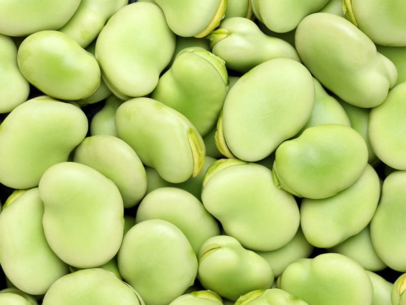 そらまめ | マルフク｜さいたま市のスーパーマーケット