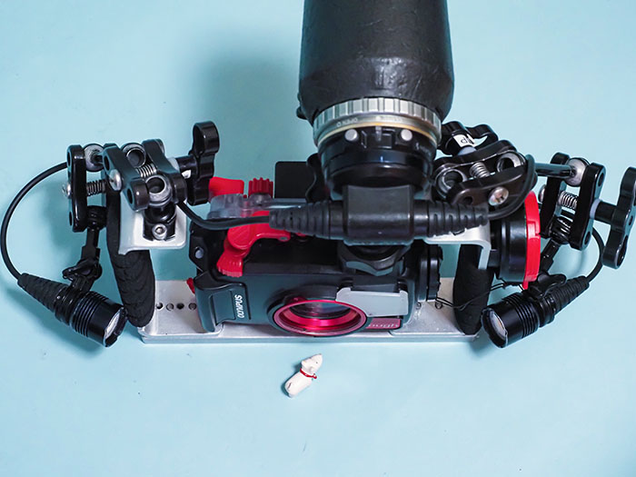 TG-6の水中顕微鏡モードをより効果的に｜水中写真家・清水淳の