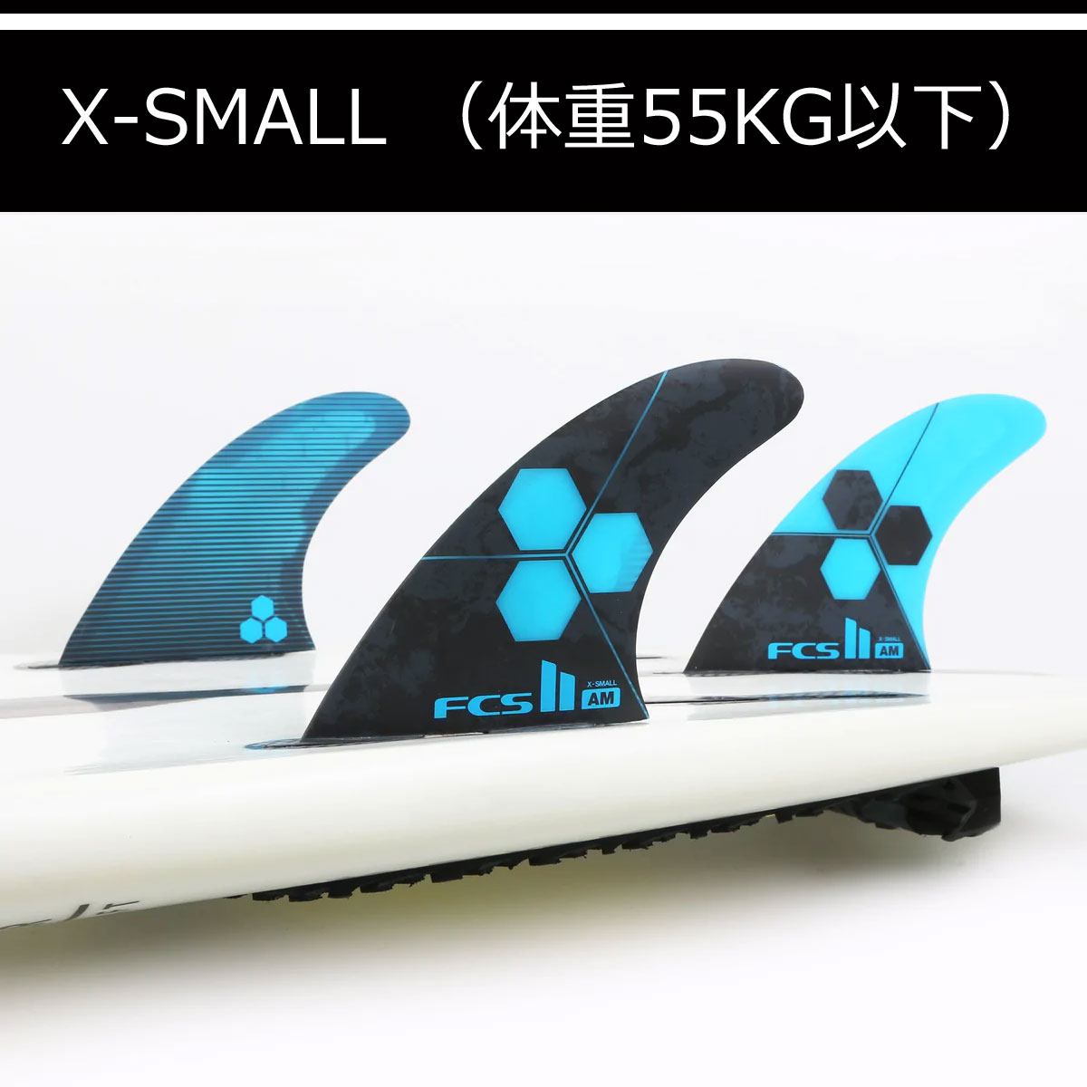 fcs2-ampc-3fin_xs.jpg