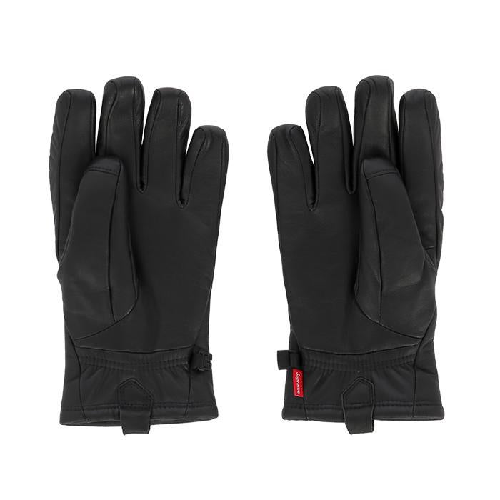 Supreme×The North Face / シュプリーム×ザノースフェイス Leather