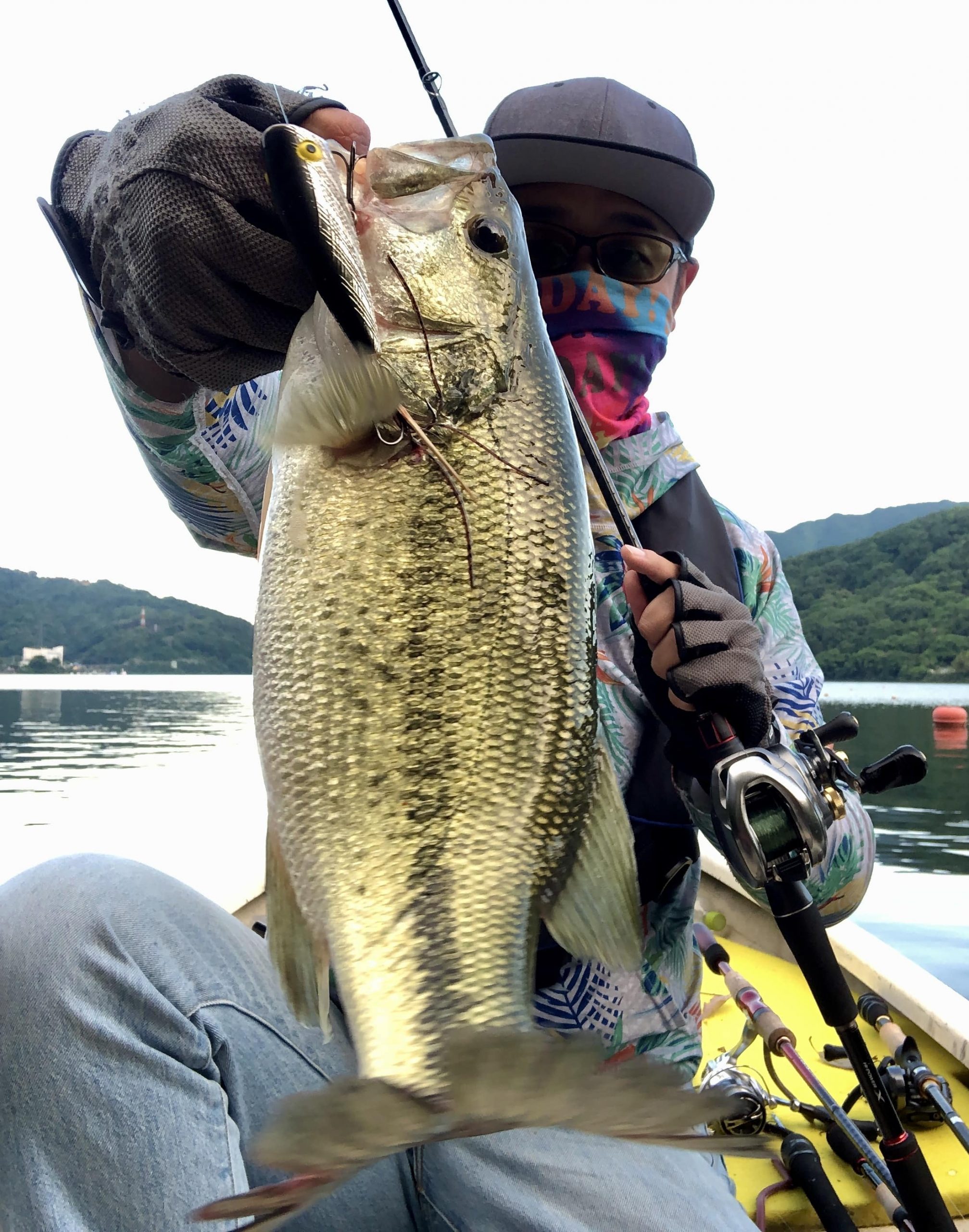 1年半使用インプレ】シマノ「ゾディアス166M」、便利すぎて手放せない