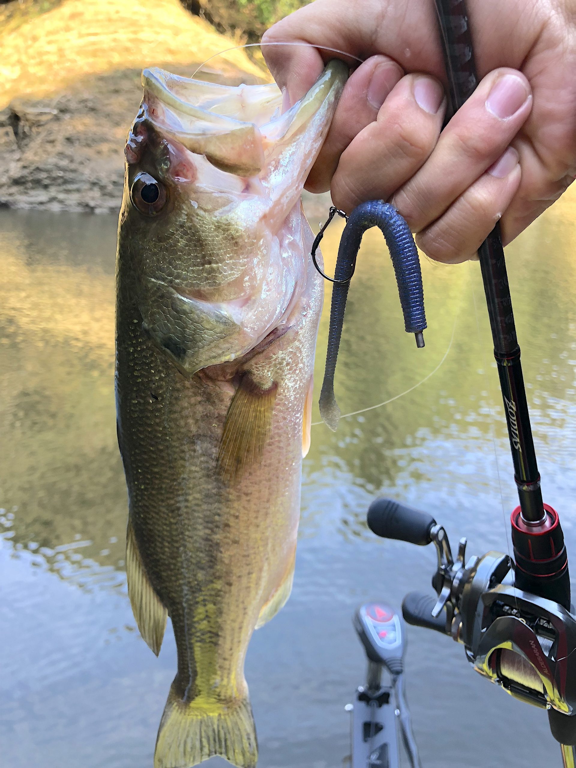 インプレ｜シマノ「ゾディアス164L-BFS」、すげぇ使いやすいコスパ最強