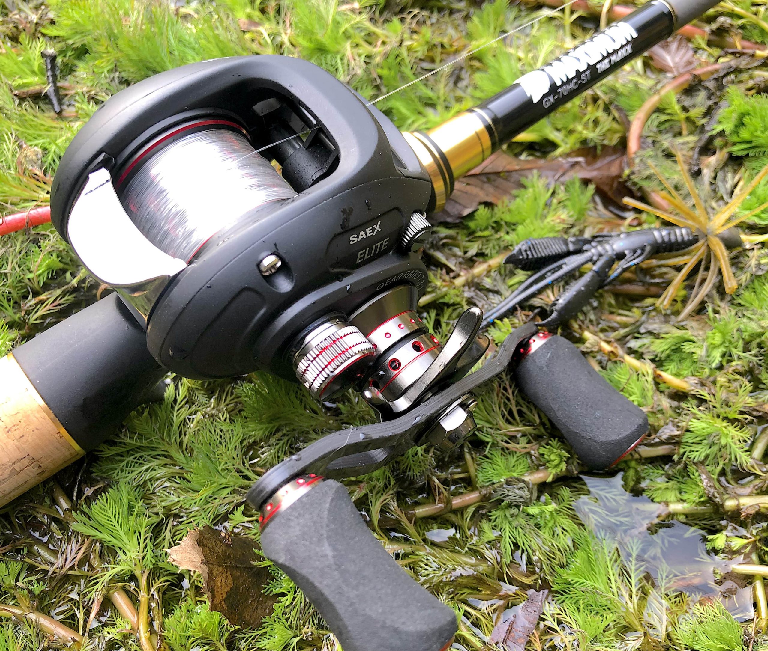 野池でインプレ】レイドジャパン マキシマム「ザ・マックス」を