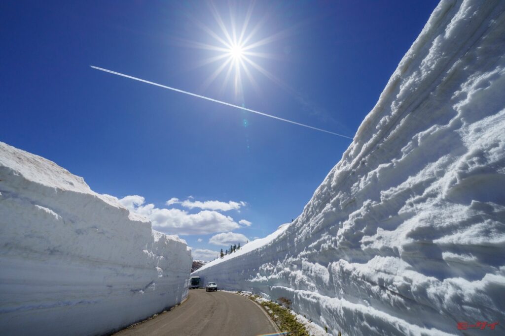 画像ギャラリー】【雪の回廊】情報！志賀草津高原ルート（国道292号