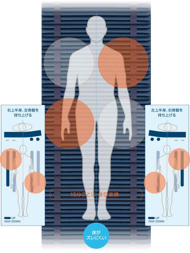 スモールチェンジ ラグーナ ライトグリーン | ケープ【品番:200114956