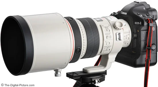 Canon EF 200mm f/2L IS USM Lens Review