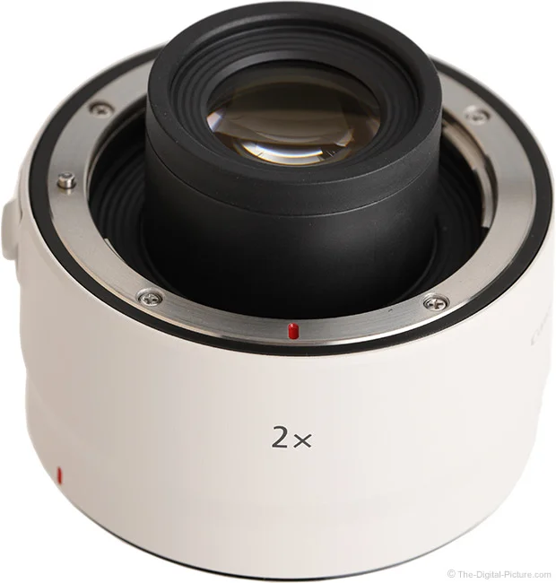 Canon RF 2x Extender Review